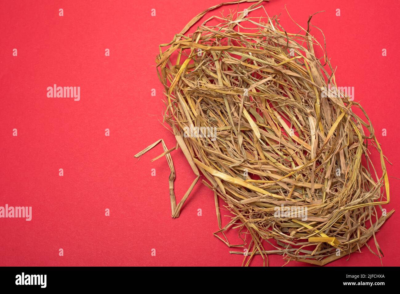 Un'immagine in testa di un nido di paglia vuoto con spazio di copia rosso Foto Stock