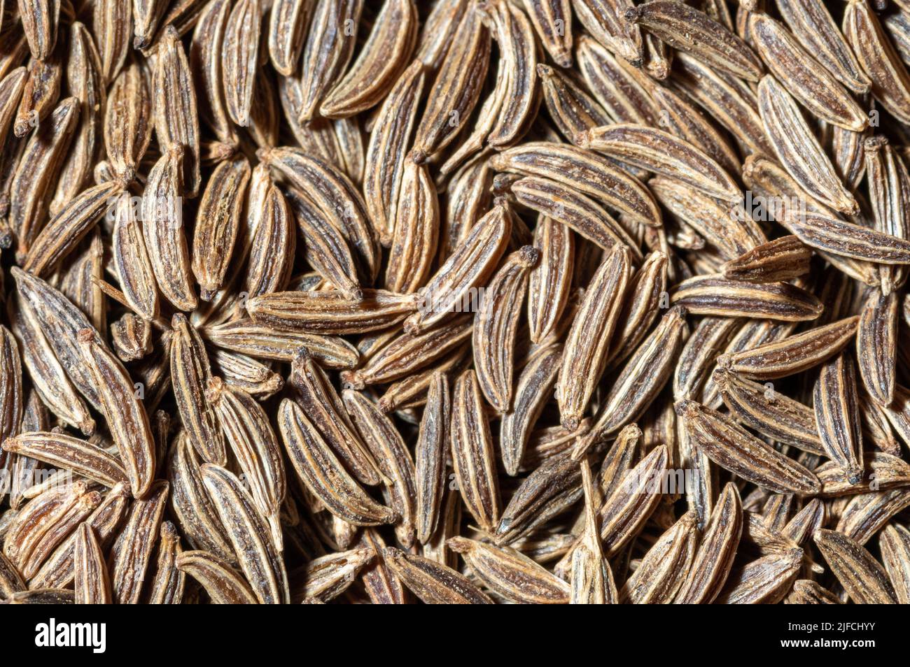 Un mucchio di semi di cumino per culinario, cucina e background agricolo Foto Stock