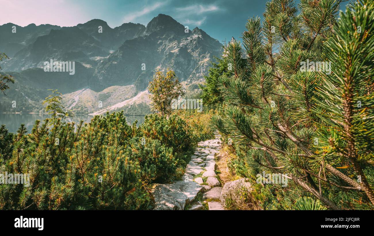 Parco Nazionale di Tatra, Polonia. Sentiero vicino al lago Morskie Oko o al lago Sea Eye in mattinata estiva. Five Lakes Valley. Splendida vista panoramica Foto Stock
