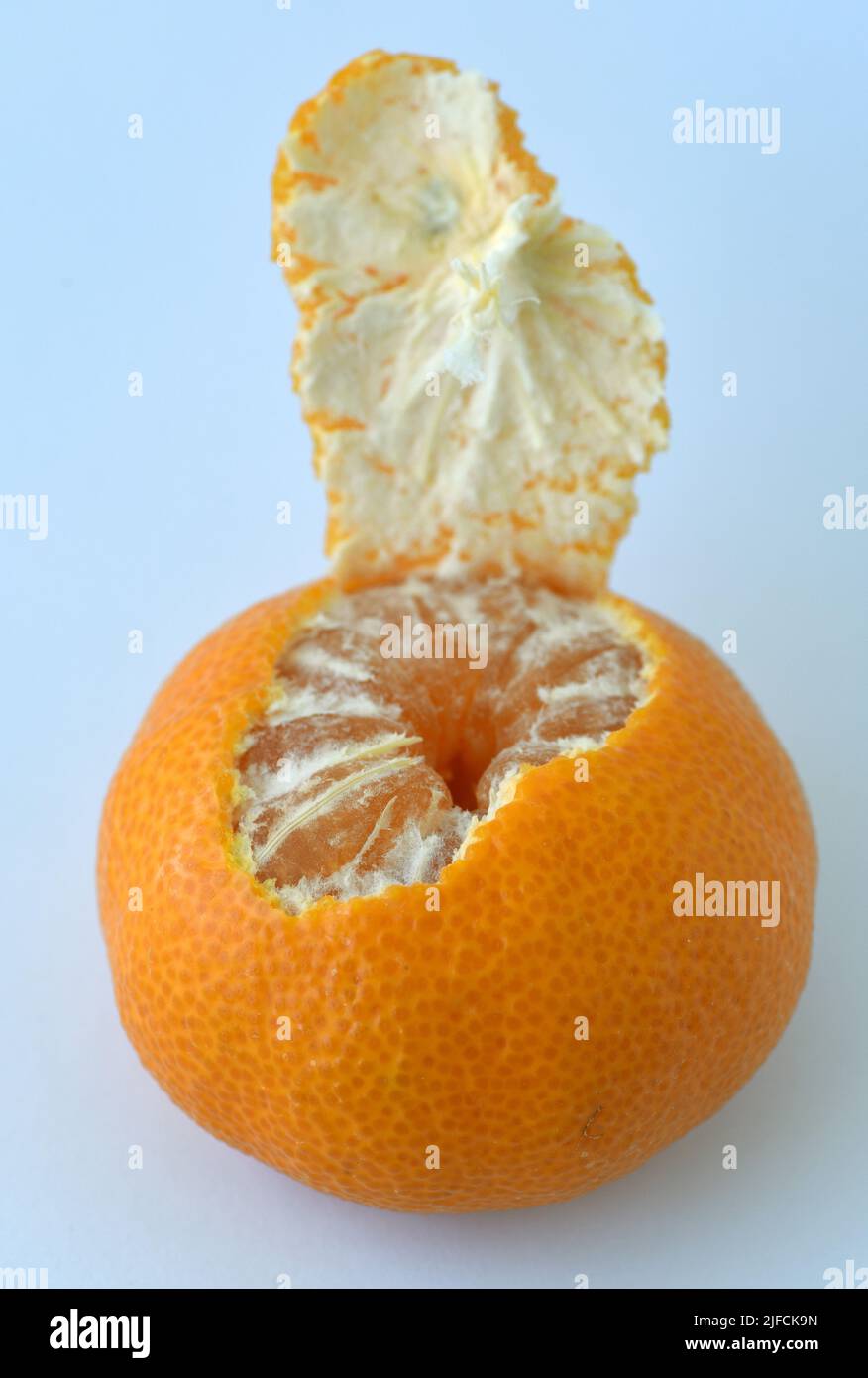 Una vista della parte superiore di un frutto di arancia parzialmente pelato con segmenti che mostrano e lembo di buccia ancora attaccato Foto Stock