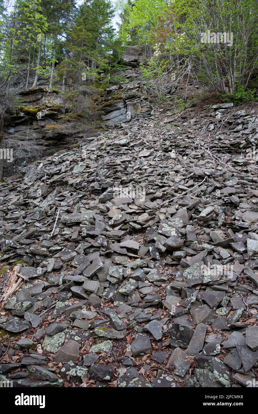 Uno scivolo roccioso di scisto eroso e grigioco lungo un sentiero escursionistico sul Monte Rose nel Grand Portage National Monument, Cook County, Minnesota, USA Foto Stock