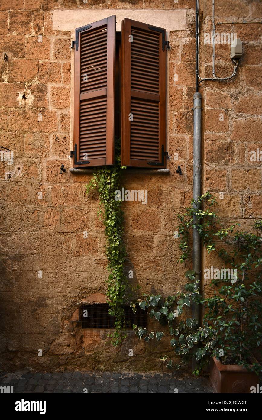 Ivy uscendo da una finestra in un villaggio in Toscana Foto Stock