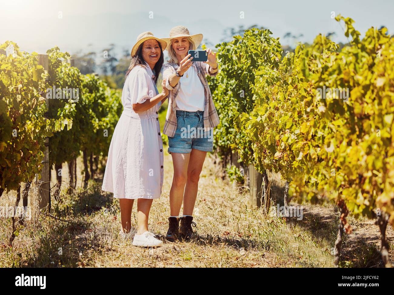 Tutta la lunghezza di due amici felici che prendono selfie su un cellulare in un vigneto. Sorridendo le donne che si levano in piedi insieme e che si legano durante una giornata in un'azienda vinicola Foto Stock