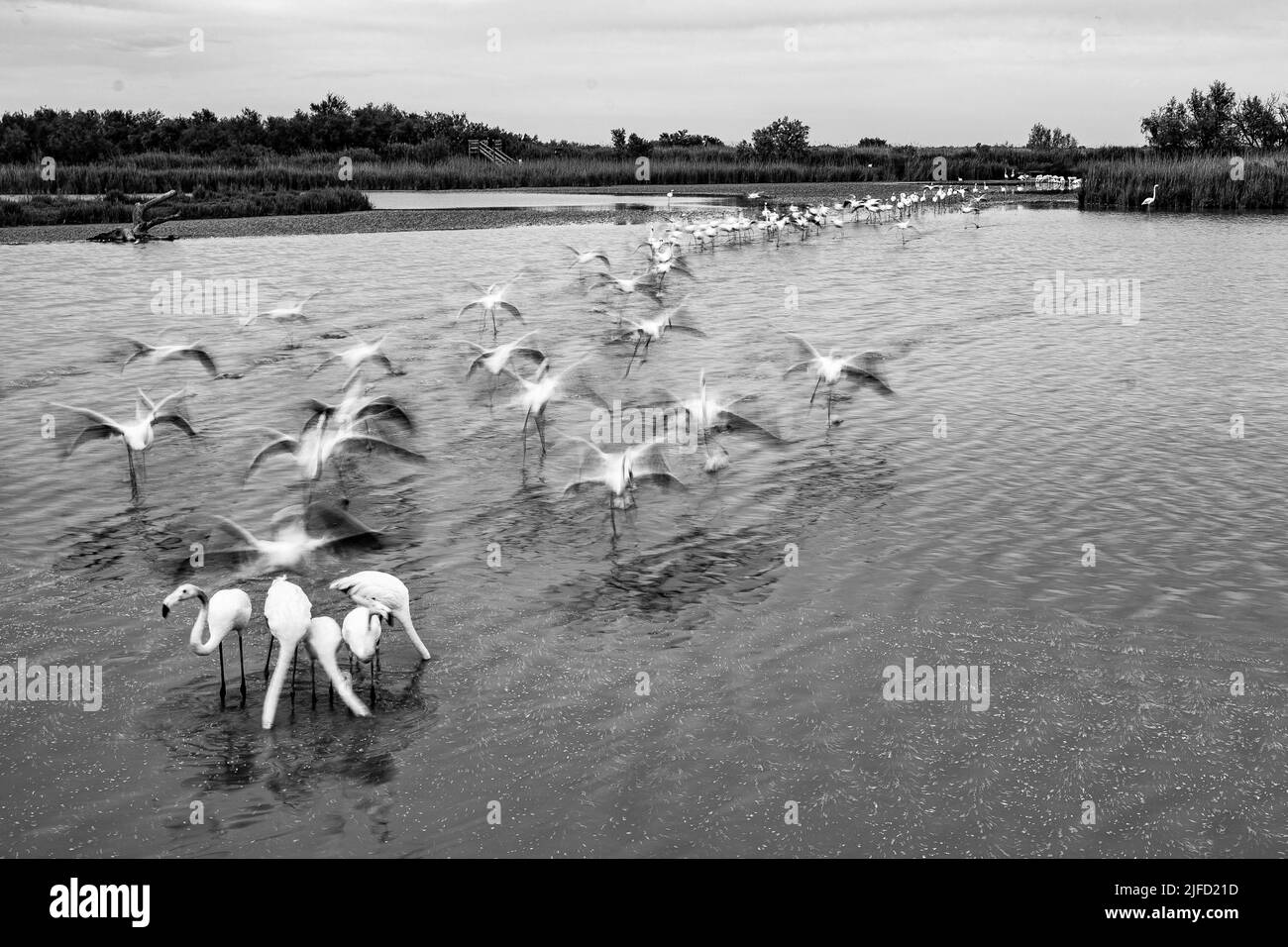 Week end di viaggio a camargue Saintes Marie de la mer Foto Stock