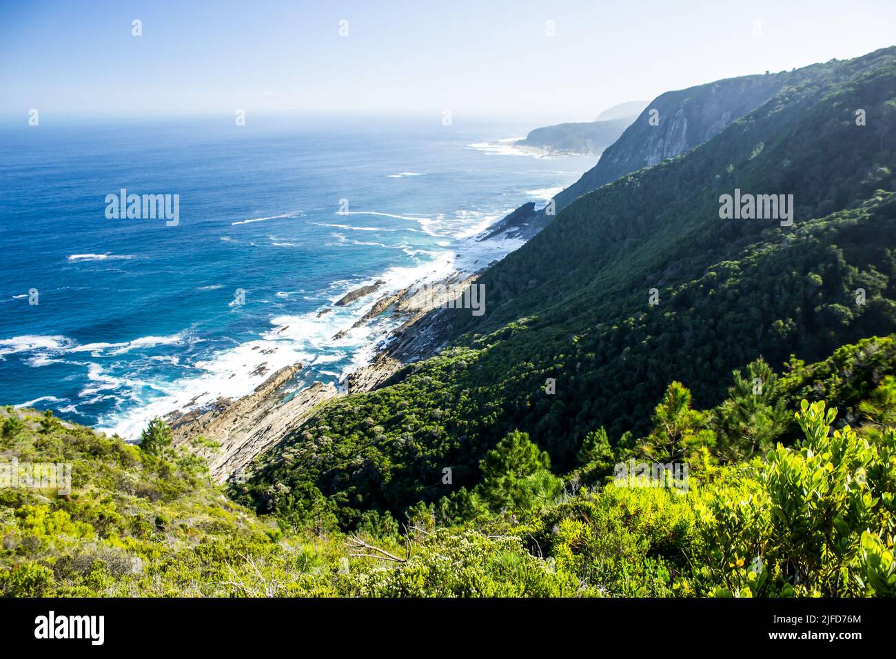 Dove le ripide foreste Tsitsikamma Mountains incontra l'azzurro Oceano Indiano meridionale in una chiara giornata di sole, il Sud Africa. Foto Stock