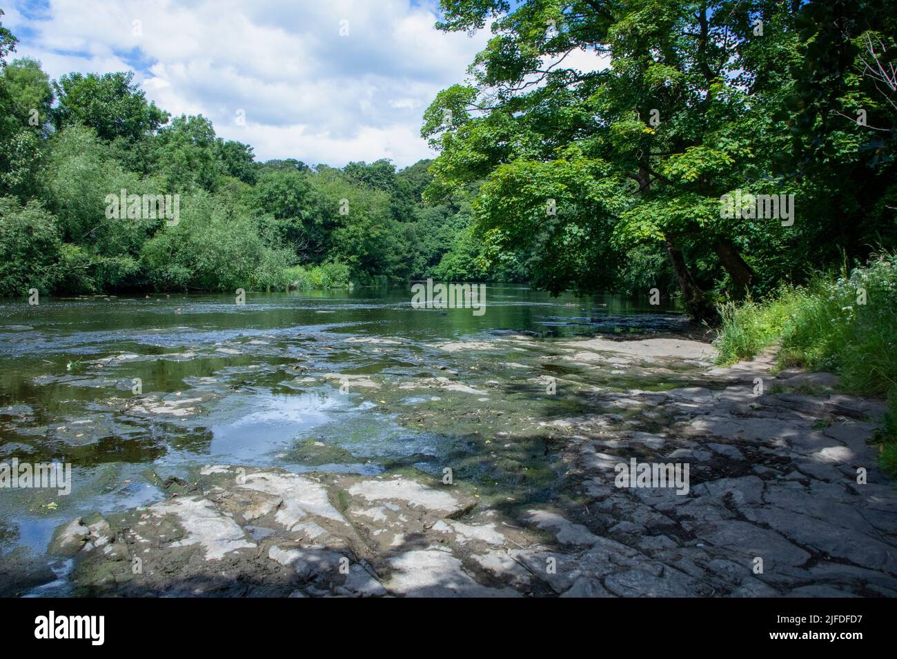 River Wear a Finchale in estate Foto Stock