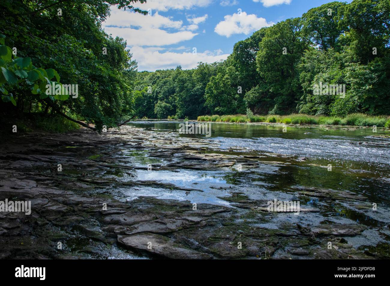 River Wear a Finchale in estate Foto Stock