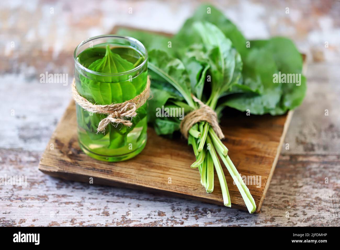 Plantain bere in un bicchiere. Foglie fresche di plantano. Tè terapeutico di plantain. Foto Stock