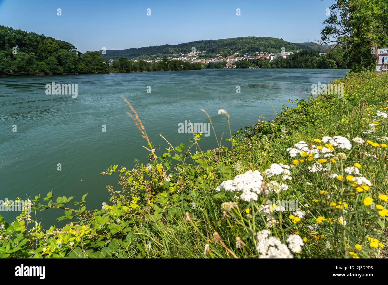 Der Rhein bei Waldshut-Tiengen, Baden-Württemberg, Deutschland | il fiume Reno vicino a Waldshut-Tiengen, Baden-Württemberg, Germania Foto Stock