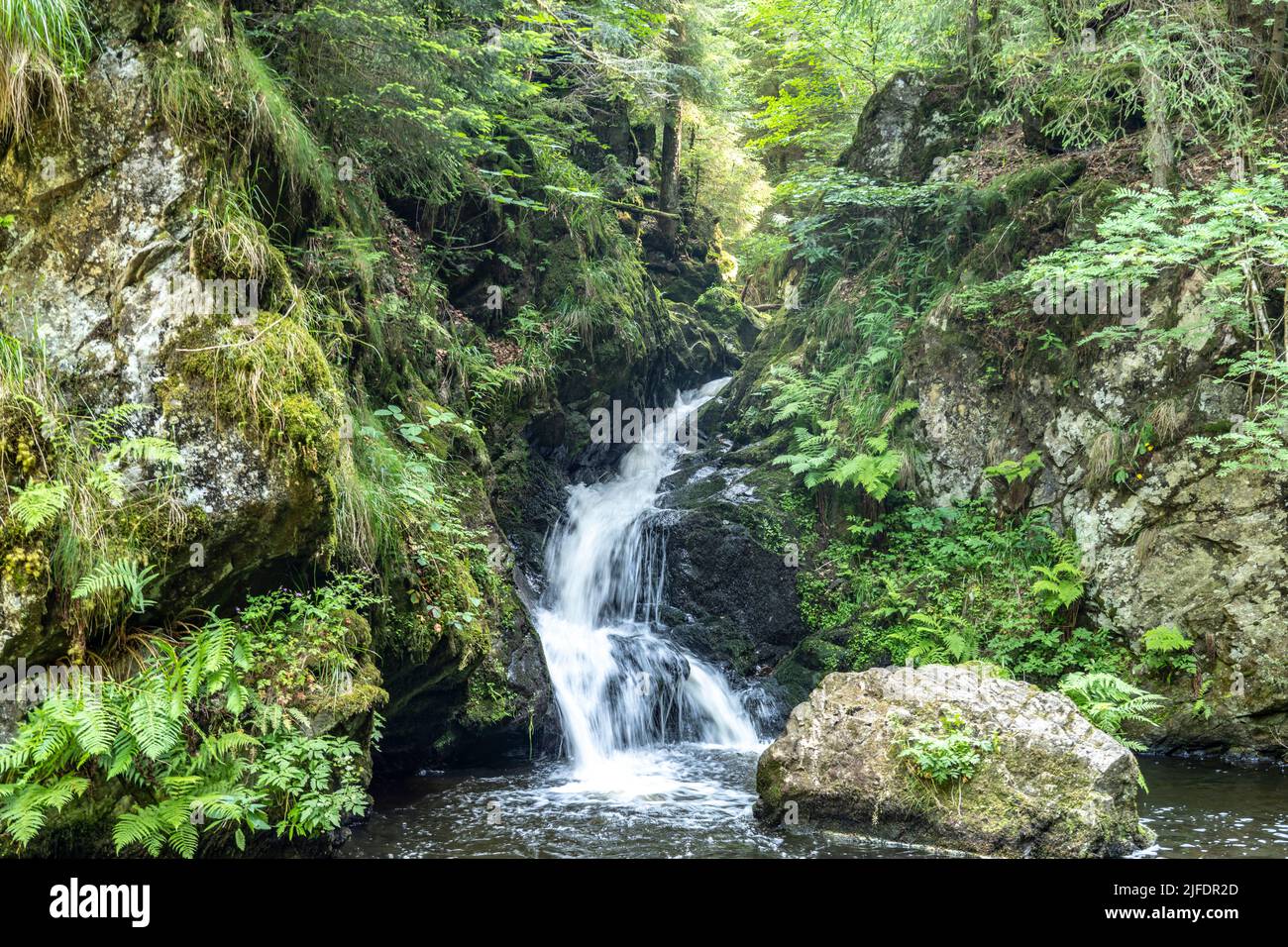 Wasserfall Kleiner Ravennafall in der Ravennnaschlucht bei Breitnau, Schwarzwald, Baden-Württemberg, Deutschland | cascata piccola Ravenna caduta di t Foto Stock