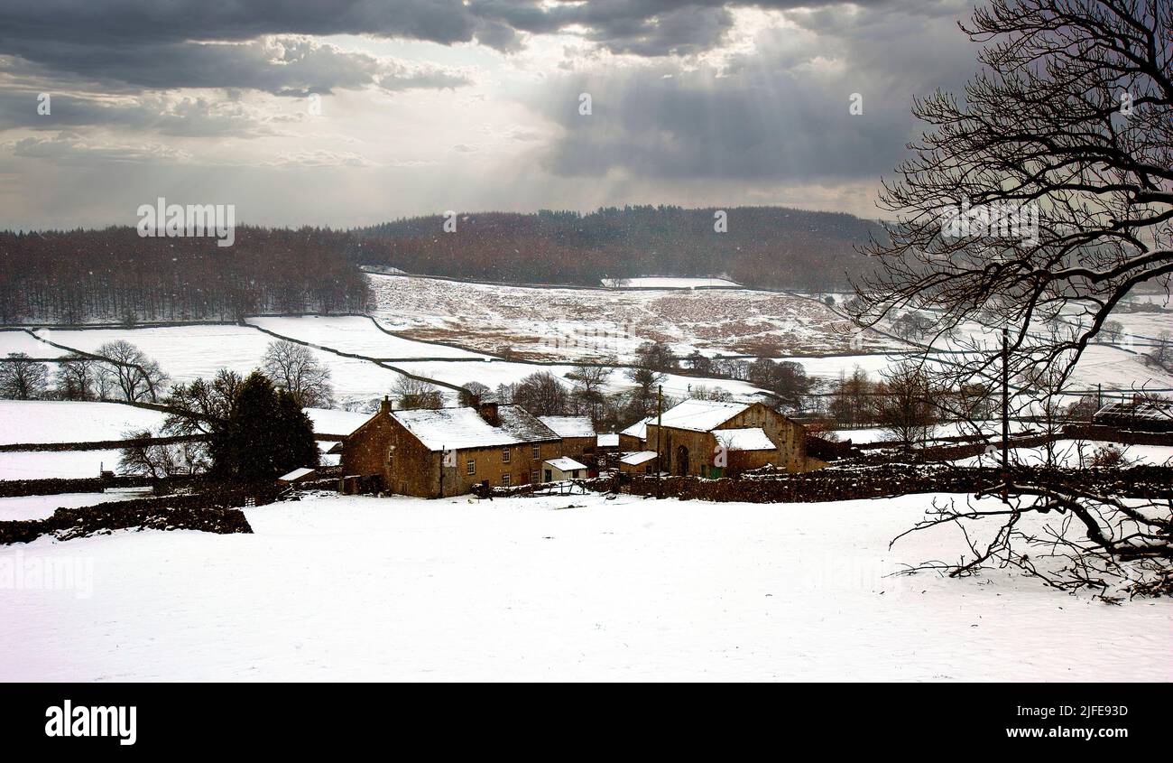 Paesaggio rurale invernale con paesaggio innevato Foto Stock