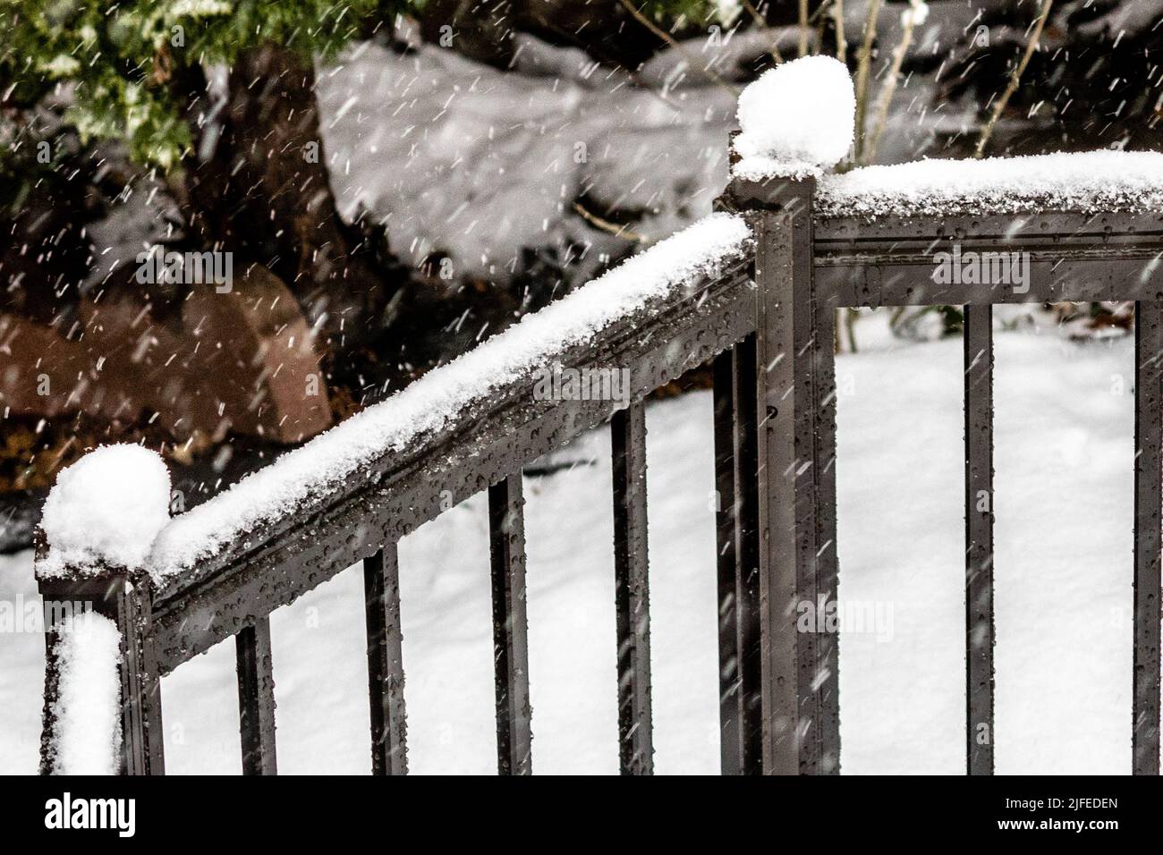 Una fioritura di ghiaccio su una recinzione di metallo come la neve si accumula, Canada Foto Stock