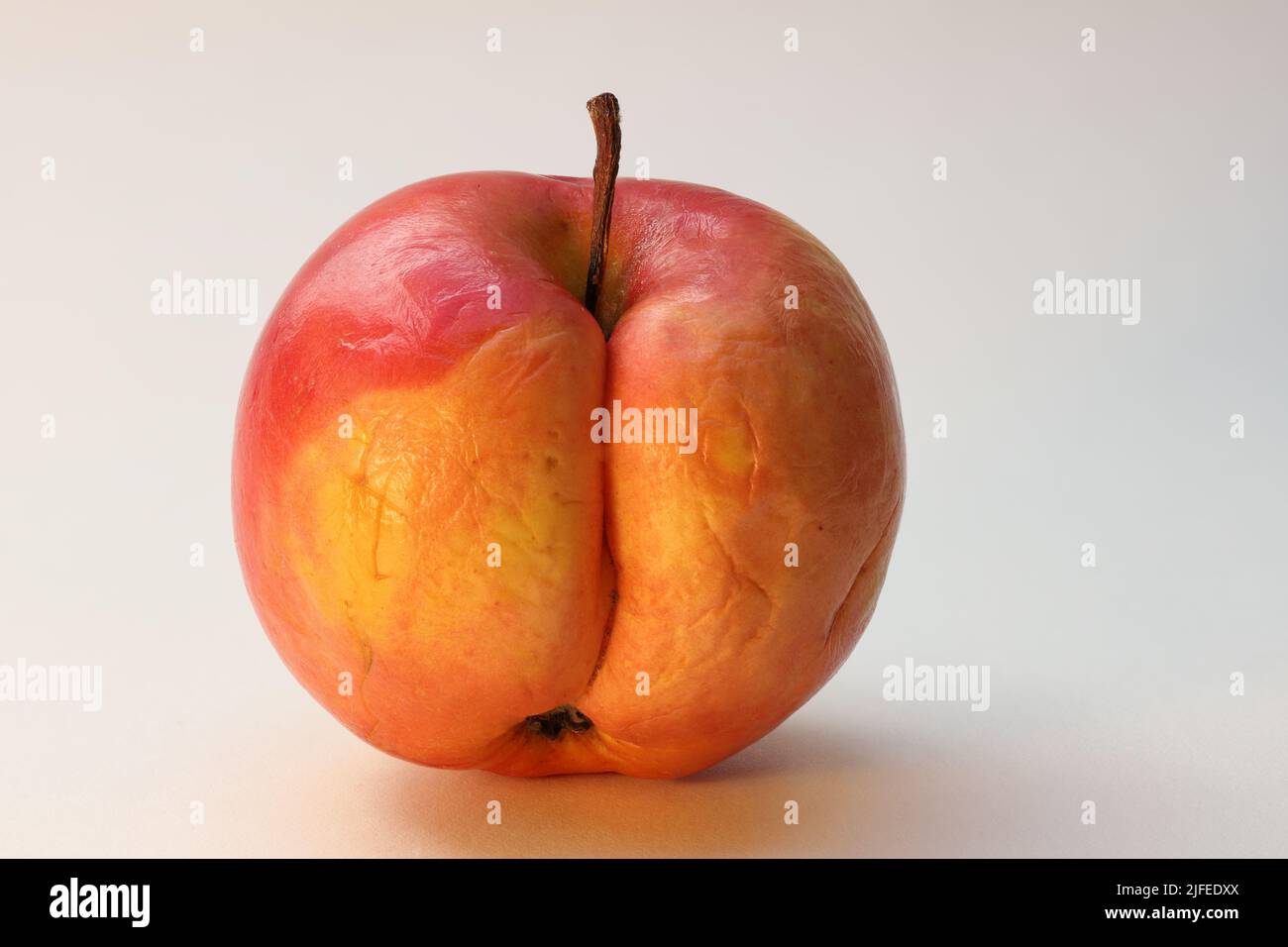 Una vecchia mela grinzita, stropicciata e appassita. Foto Stock