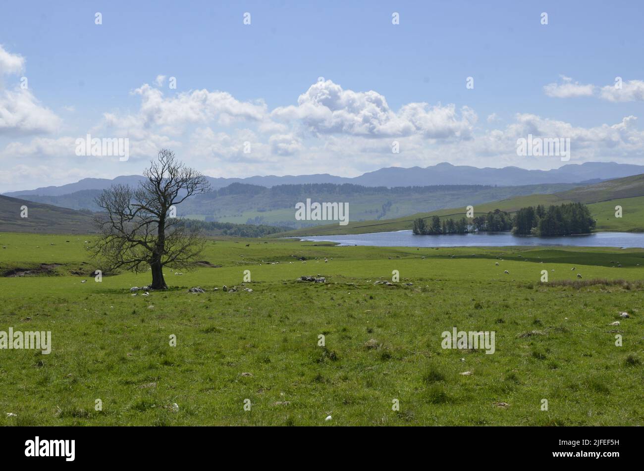 Il paesaggio a Glen Tilt vicino all'atollo di Blair nelle Highlands scozzesi Foto Stock