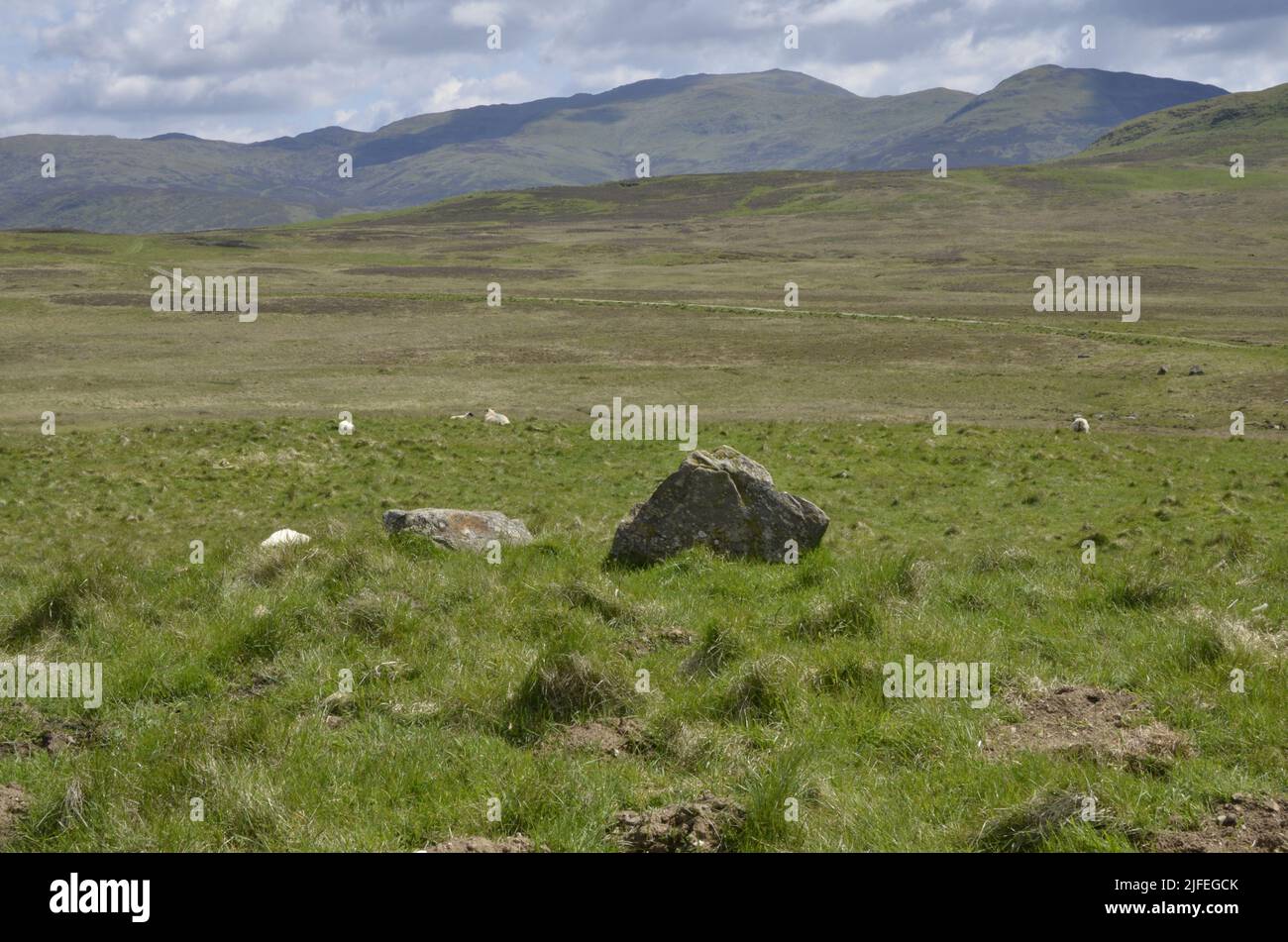 Il paesaggio a Glen Tilt vicino all'atollo di Blair nelle Highlands scozzesi Foto Stock