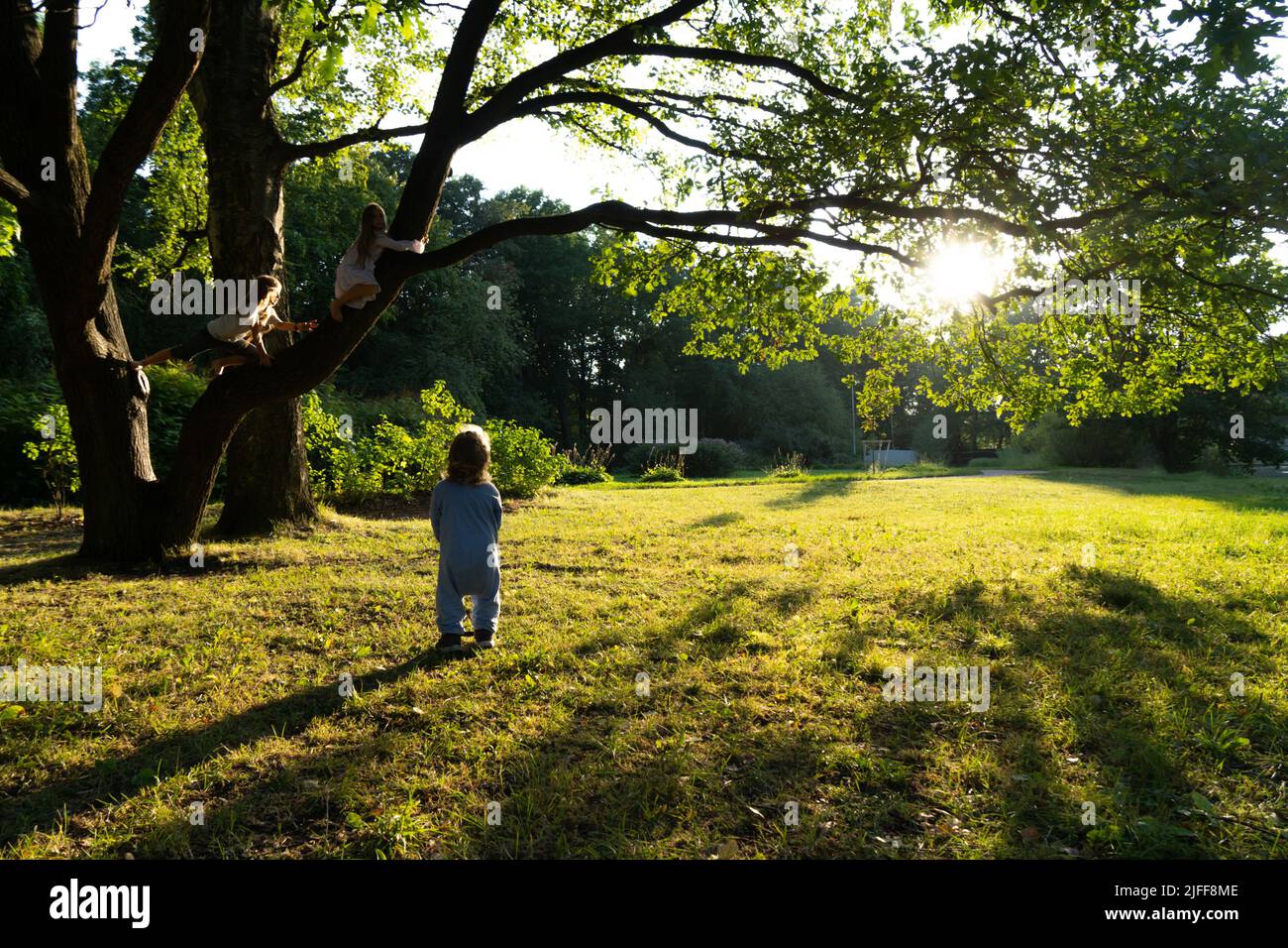 Il bambino guarda alle conquiste delle sorelle e dei fratelli più anziani. Vecchio albero di quercia nel concetto Park.Echievements e Opportunities. Foto Stock