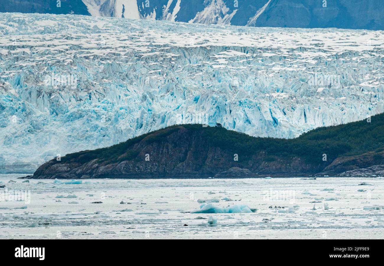 Primo piano di crepacci sul Ghiacciaio Hubbard con alberi a dare scala sulla costa dell'Alaska a sud di Valdez Foto Stock