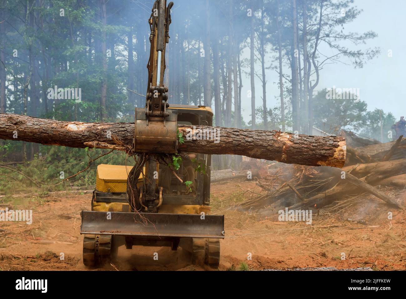 Una deforestazione la foresta un lavoro viene eseguito su un manipolatore di trattore che solleva i tronchi Foto Stock