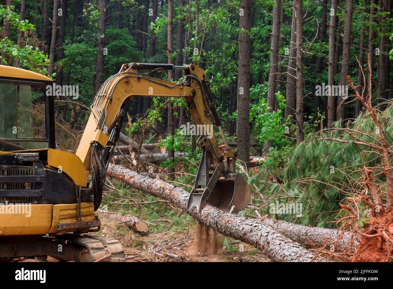 Il lavoro è fatto su un manipolatore di trattore nelle foreste, che solleva i tronchi Foto Stock