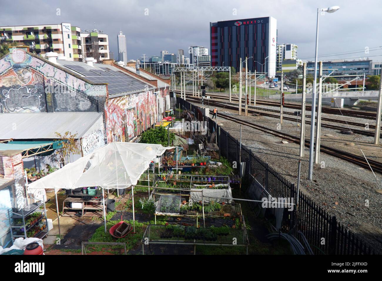 City Farm prodotti in coltivazione vicino alla linea ferroviaria, Perth, Australia Occidentale. No PR Foto Stock