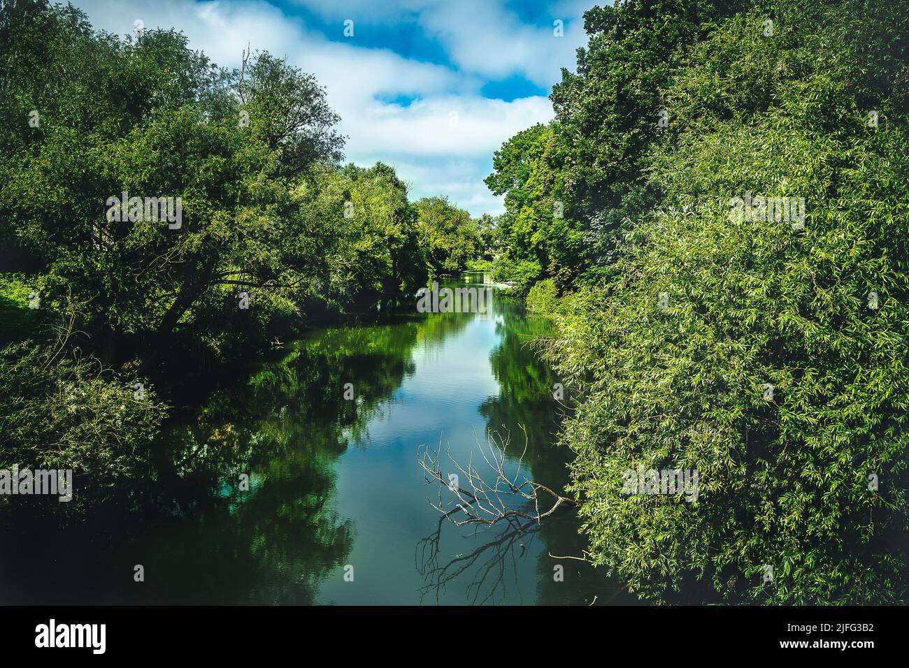 il danubio scorre attraverso una foresta urbana con riflessi sull'acqua Foto Stock
