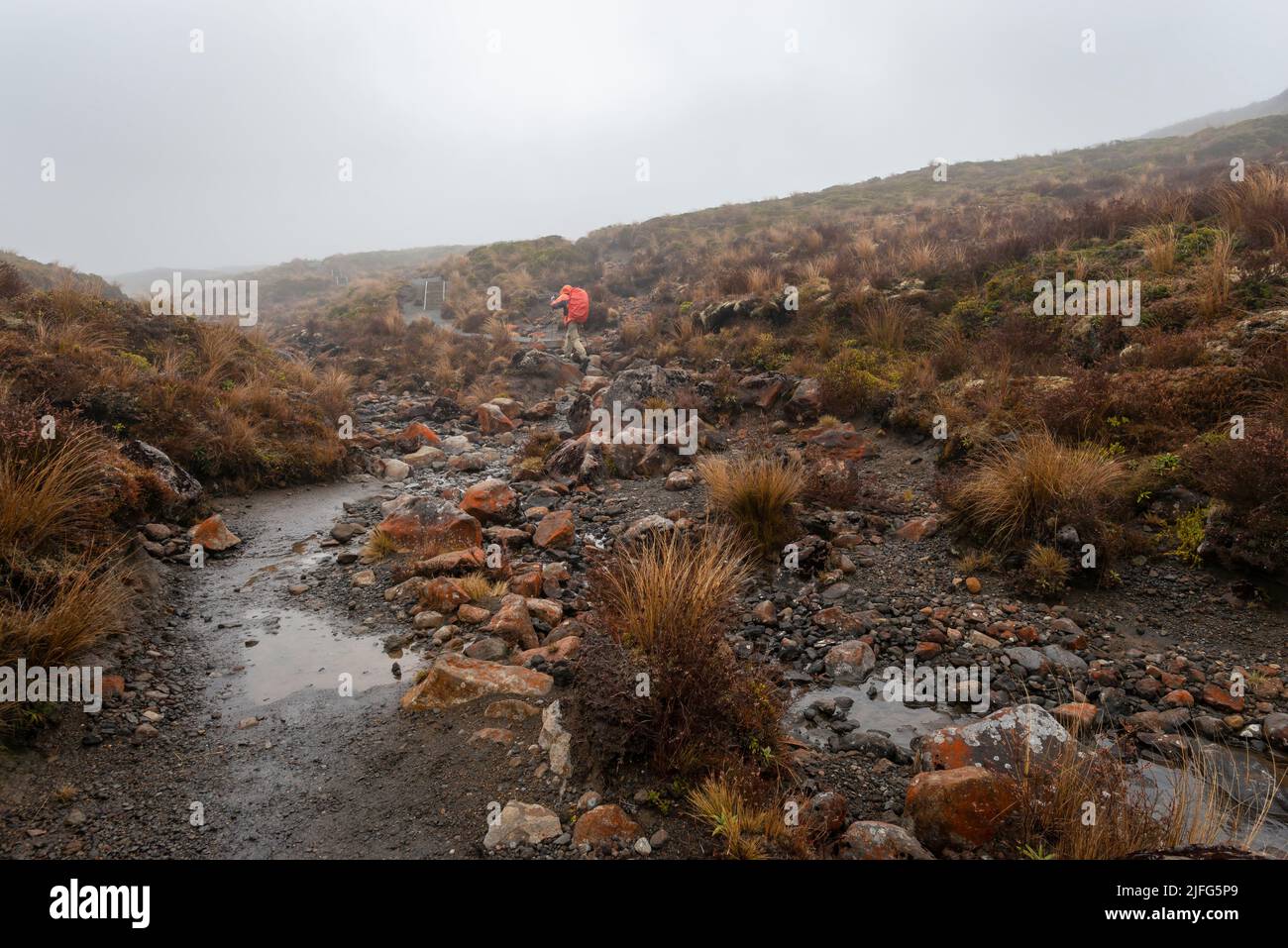 Escursioni Tama Lakes pista in nebbia fitta e pioggia. Parco Nazionale di Tongariro. Foto Stock