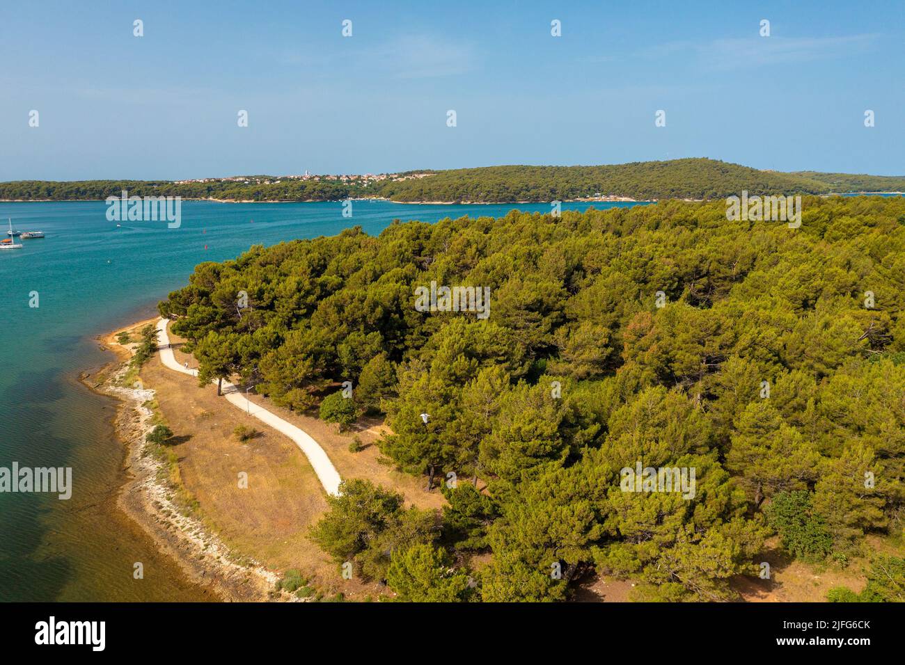 Vista aerea di una pineta costiera vicino a Medulin città in Istra, Croazia Foto Stock