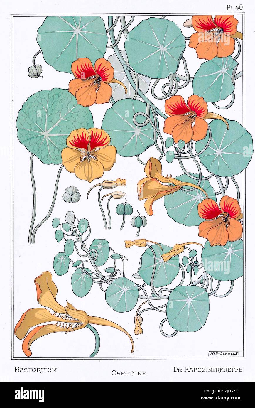 Maurice Pillard Verneuil - Nasturtium Foto Stock