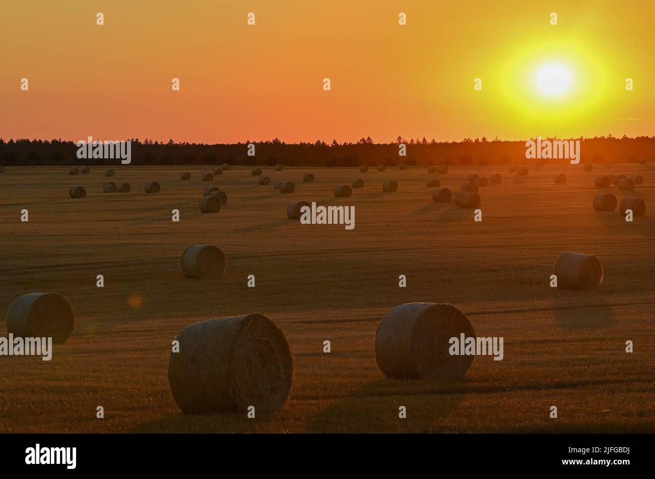 Petersdorf, Germania. 02nd luglio 2022. Il tramonto colorato splende su un campo con rotoli di paglia. Il tempo di sole è previsto per i prossimi giorni. Credit: Patrick Pleul/dpa/ZB/dpa/Alamy Live News Foto Stock