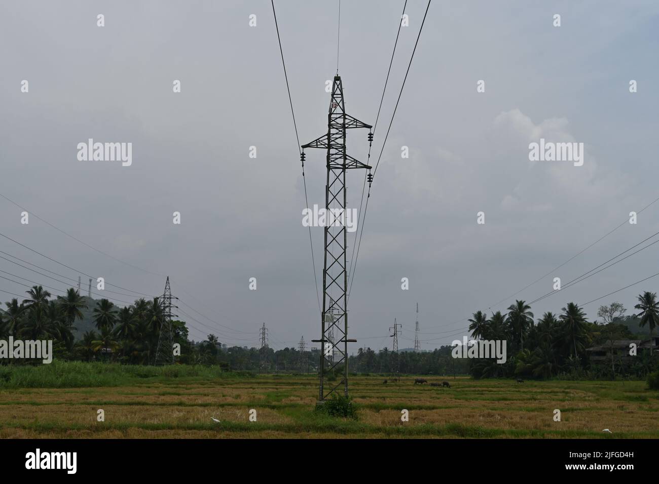 Horana, distretto di Kalutara, Sri Lanka Febbraio 25 2022: Un pilone elettrico con i cavi di alimentazione nel mezzo di un campo di risaie Foto Stock