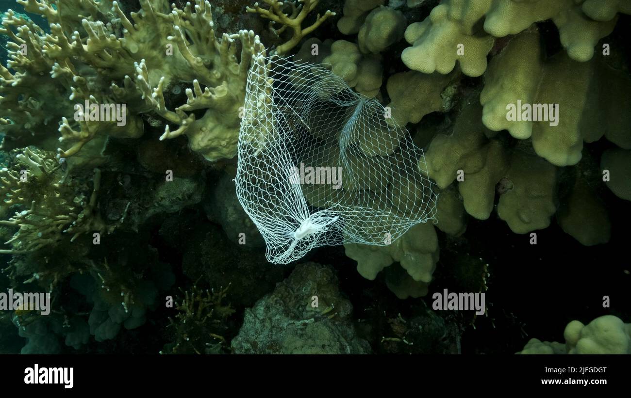 Scartato cucina plastica deposito netto shopping appendere giù di barriera corallina. Inquinamento plastico dell'oceano. Borsa in rete di plastica appesa su un bel corallo Foto Stock