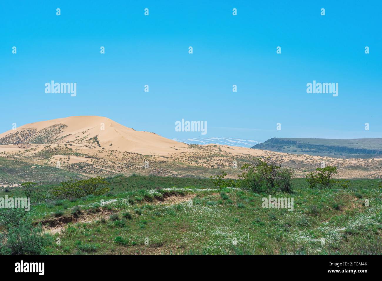 Paesaggio semi-arido nelle vicinanze della duna di sabbia di Sarykum Foto Stock