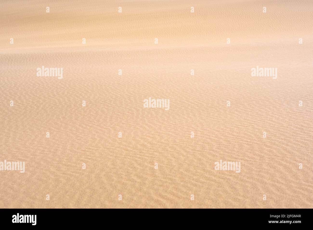 il vento si increspa sulla superficie sabbiosa nel deserto Foto Stock