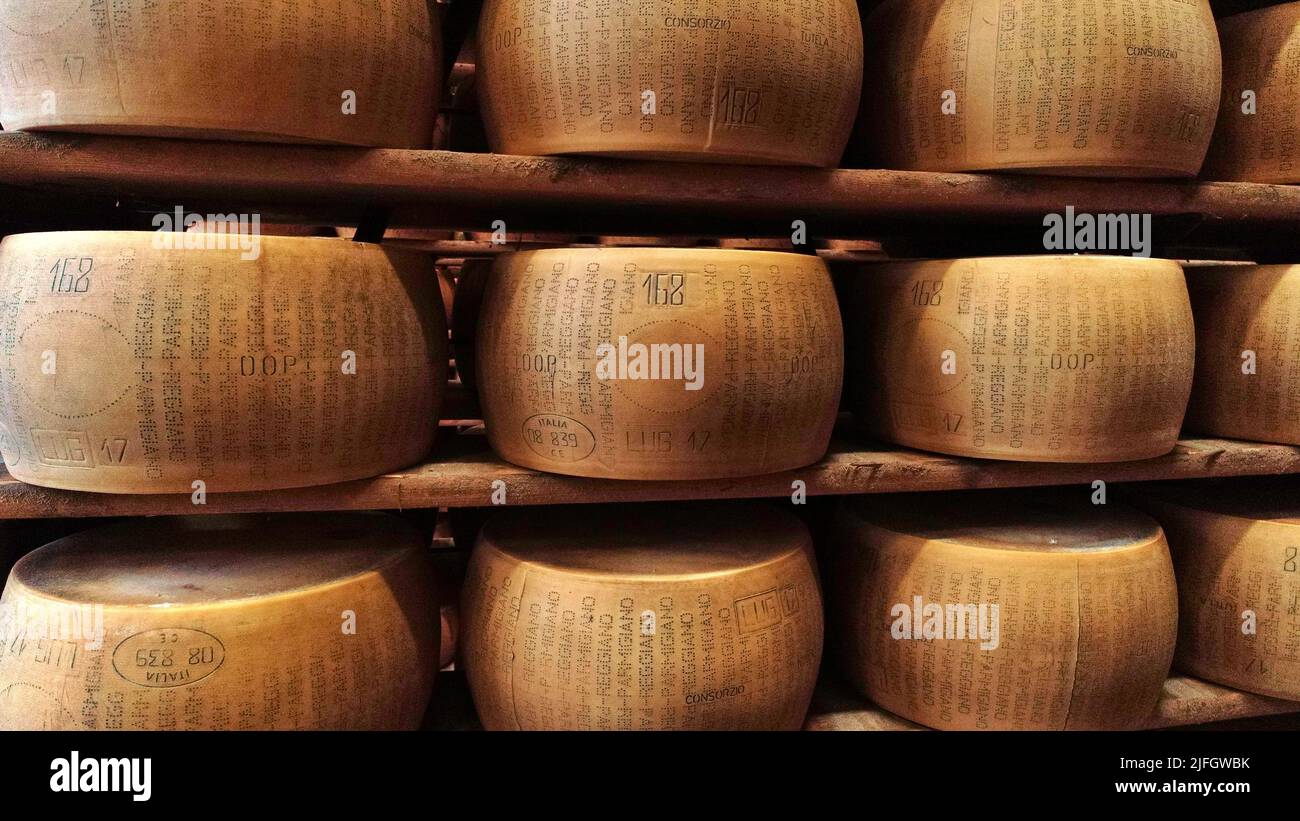 Migliaia di forme di Parmigiano Reggiano nel più grande magazzino di formaggi parmigiano vicino a Montecavolo, Reggio Emilia, Italia Foto Stock