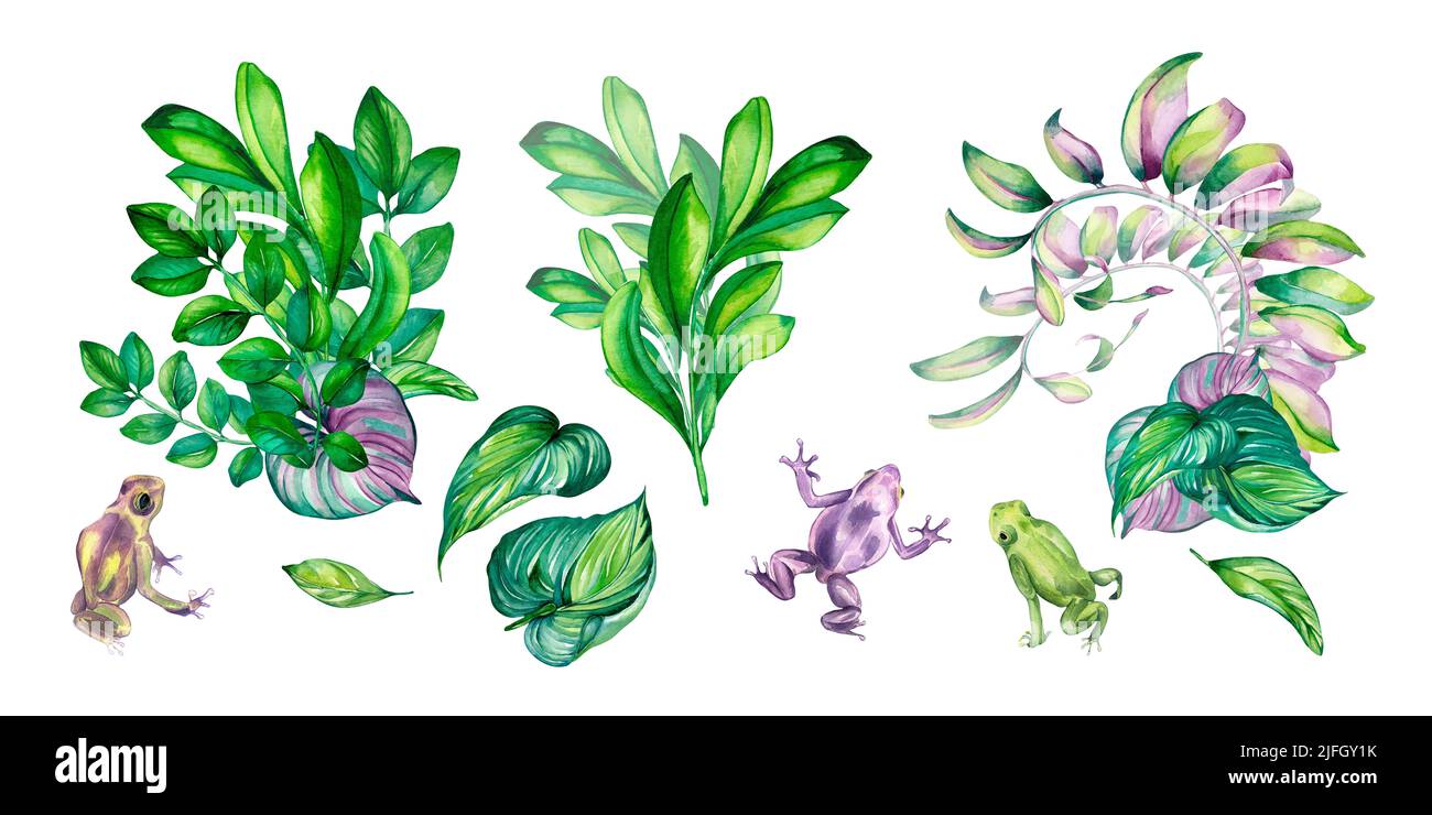 Multicolore serie di ramo con verde, foglie rosa, rane colorata estate acquerello illustrazione su bianco. Stampa tropicale, elementi vibranti pittura a mano Foto Stock