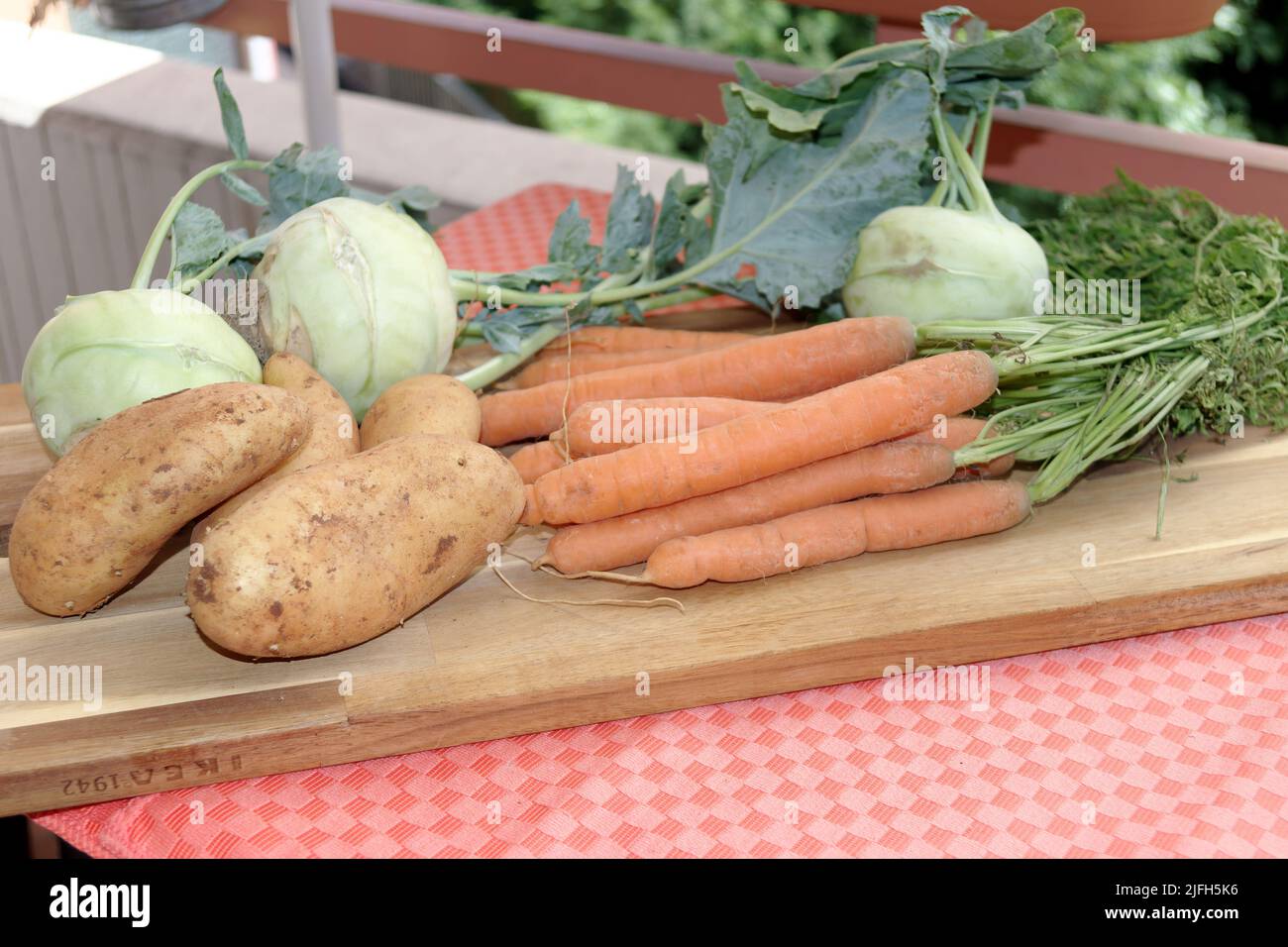 Vendemmiate le verdure fresche del giardino di casa: Patate, sudore, rapa, (Kohlrabi) e carote. Foto Stock