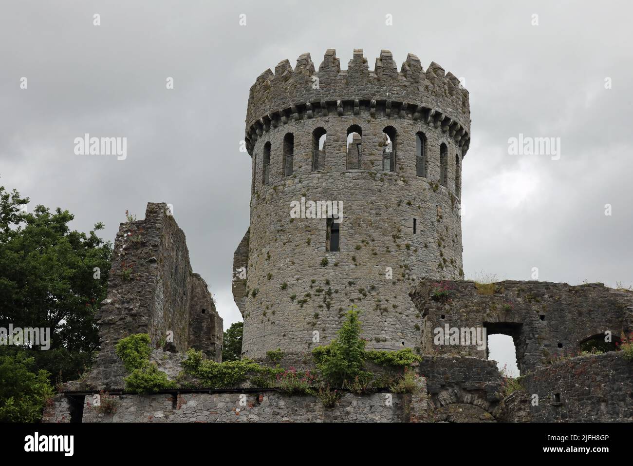 Castello di Nenagh nella contea Tipperary Foto Stock