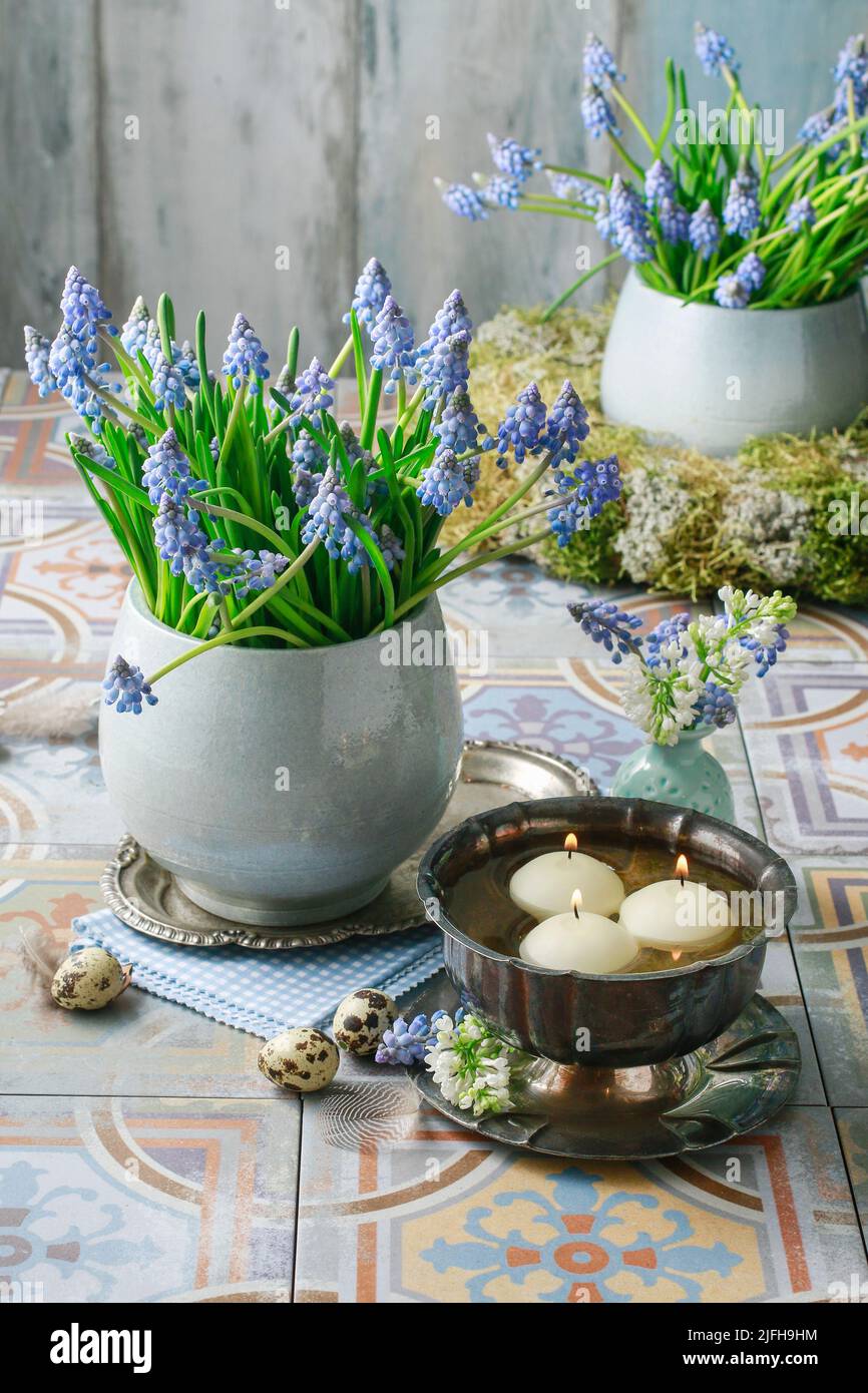 Bouquet di fiori di muscari (giacinto di uva) e ciotola con acqua e candele galleggianti. Decorazioni per feste Foto Stock