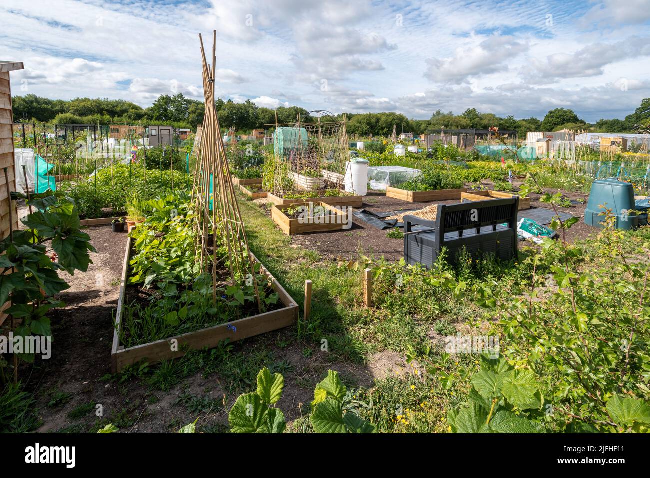 Allotments e la zona di giardinaggio della Comunità all'Edenbrook Country Park vicino a Fleet, Hampshire, Inghilterra, Regno Unito Foto Stock