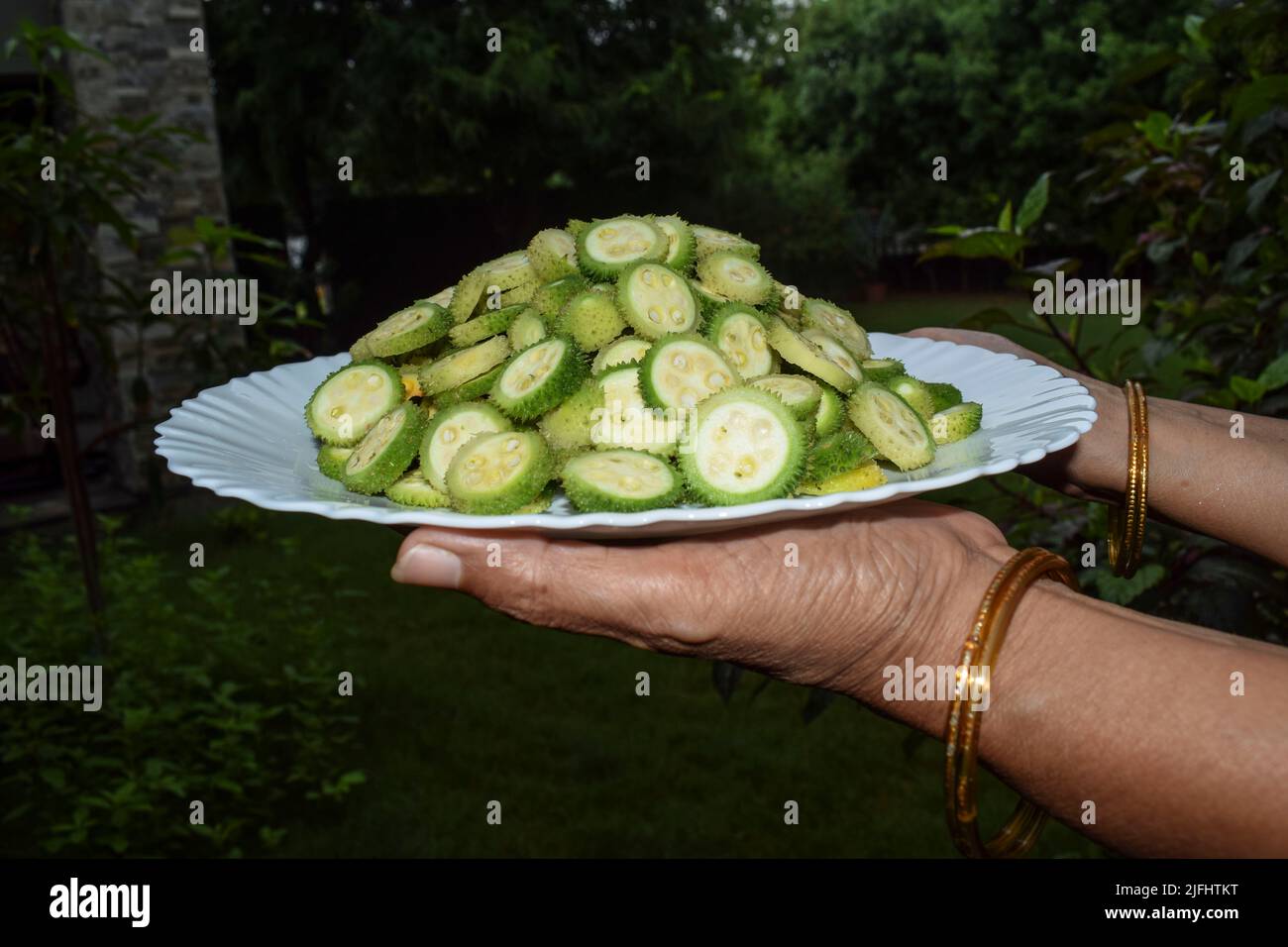 Piastra di tenuta femminile di Spiny gourd vegetale anche noto come Spine gourds o Kantola sono verdure stagionali sane coltivate in India Asia, Cut in a sli Foto Stock