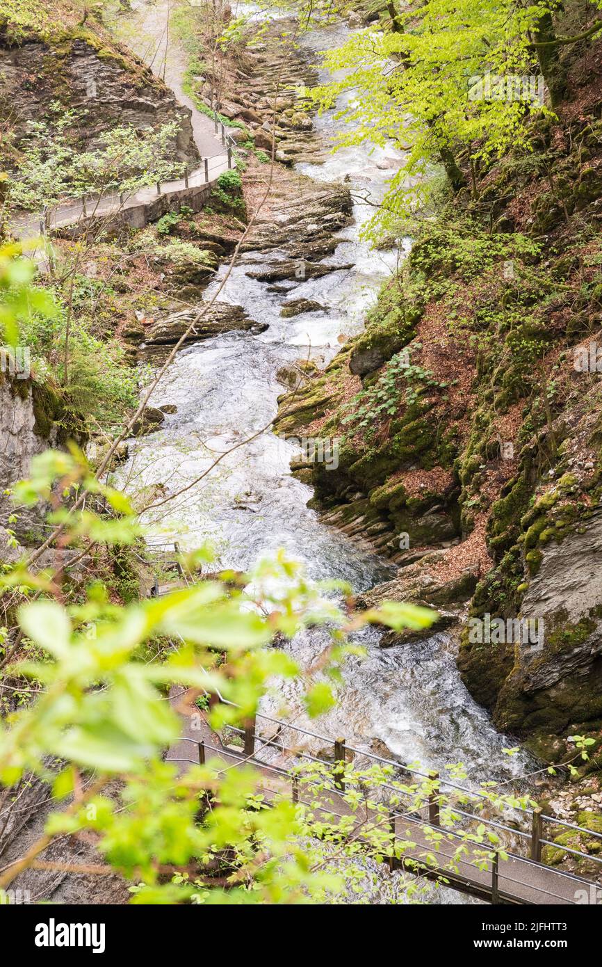 Unterwasser (Svizzera), 5 maggio 2022 in primavera un piccolo fiume alpino scorre lungo un canyon alle cascate del Thur Foto Stock