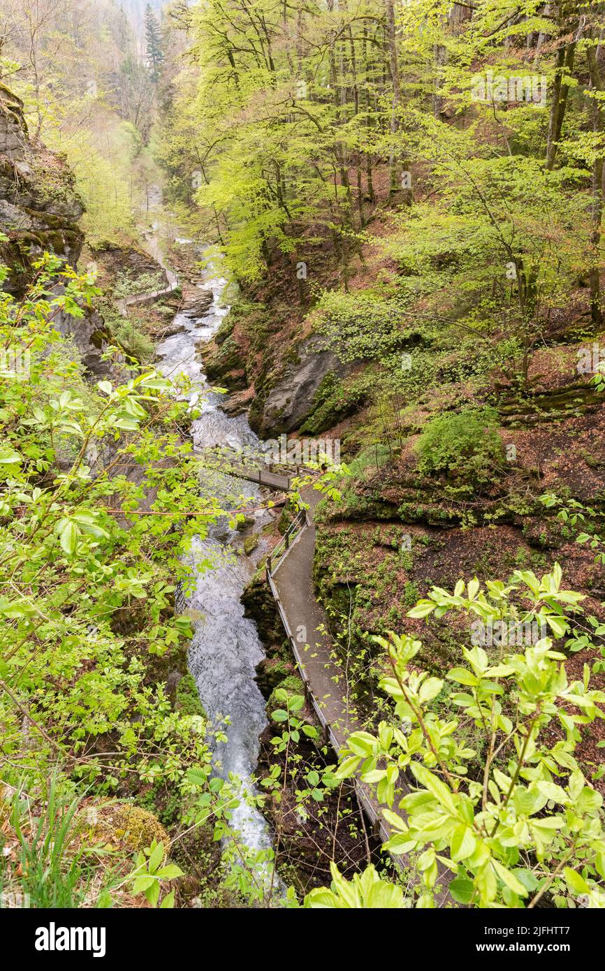 Unterwasser (Svizzera), 5 maggio 2022 in primavera un piccolo fiume alpino scorre lungo un canyon alle cascate del Thur Foto Stock