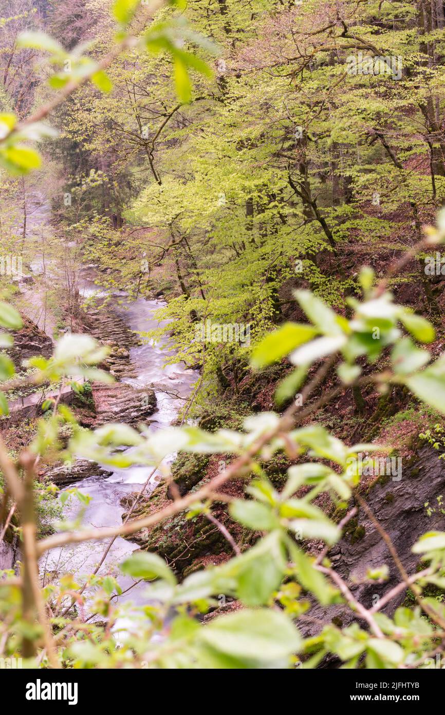 Unterwasser (Svizzera), 5 maggio 2022 in primavera un piccolo fiume alpino scorre lungo un canyon alle cascate del Thur Foto Stock