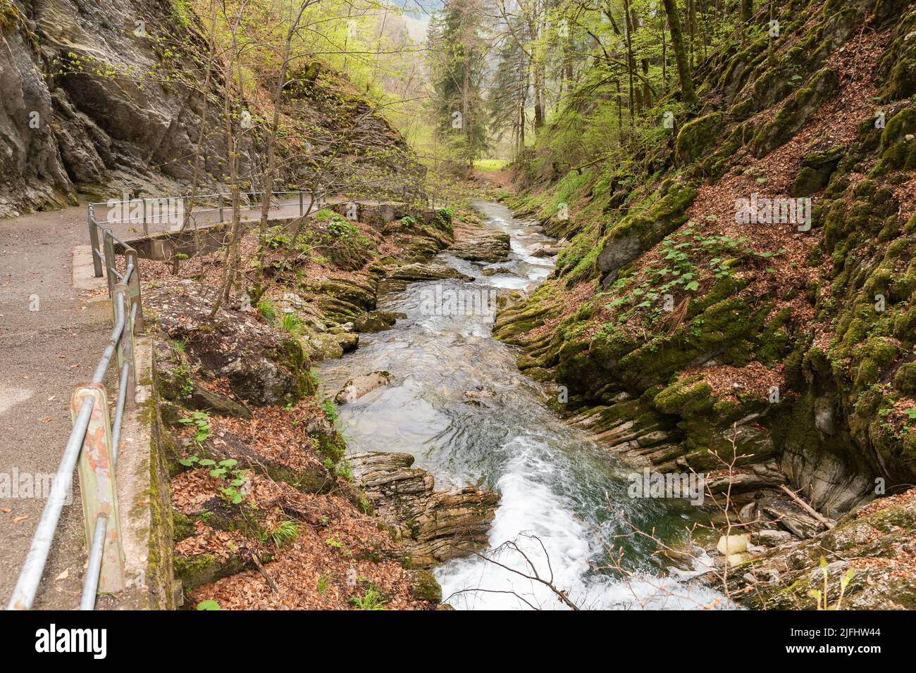 Unterwasser (Svizzera), 5 maggio 2022 in primavera un piccolo fiume alpino scorre lungo un canyon alle cascate del Thur Foto Stock