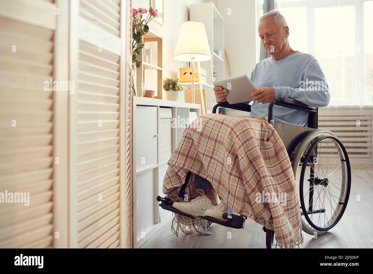 Grave uomo anziano concentrato disabile con gambe paralizzate seduta in sedia a rotelle e leggere articolo online sul tablet Foto Stock
