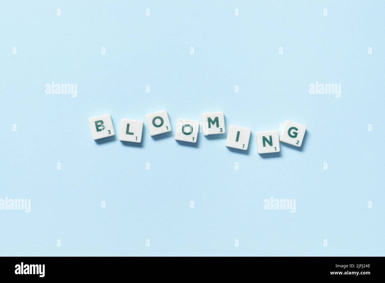 Fioritura formata da piastrelle scrabble su sfondo blu. Foto Stock