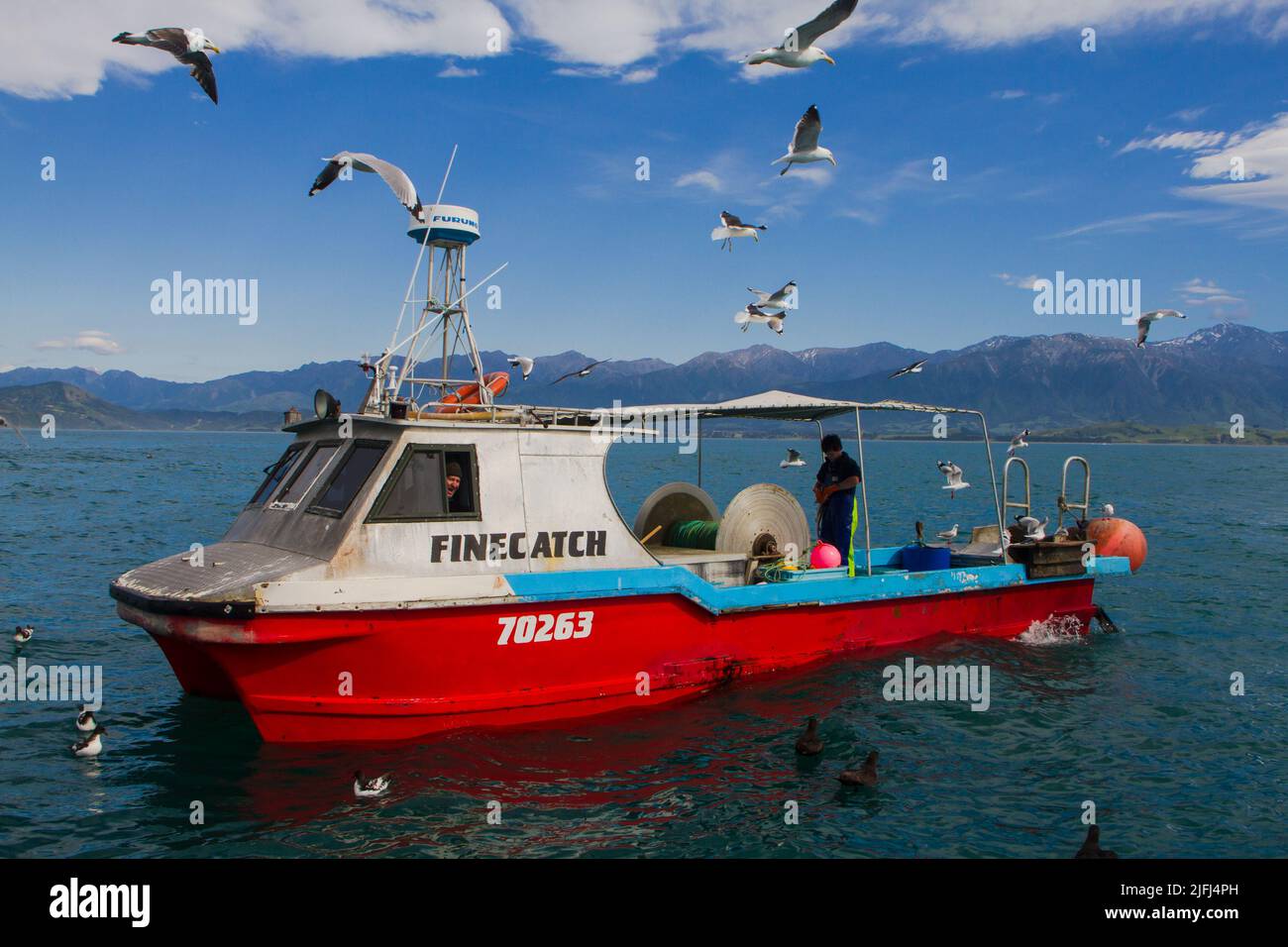 Uno sguardo alla vita in Nuova Zelanda. Una nave da pesca commerciale costiera lungo la costa di Kaikoura. FV Finecatch. Foto Stock