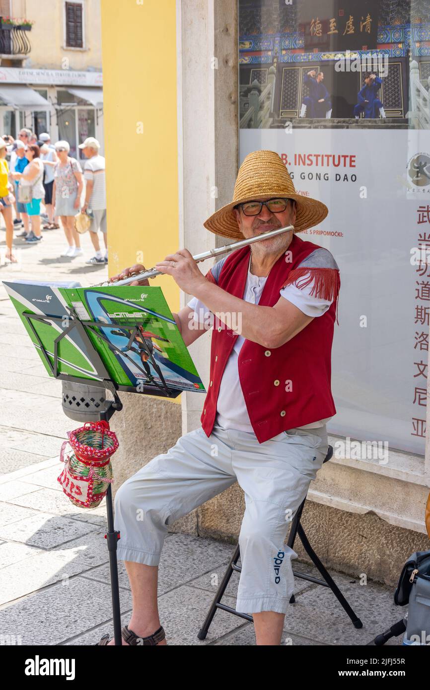Musicista di strada, Piazza Preseren, Capodistria, Istria Slovena, Slovenia Foto Stock