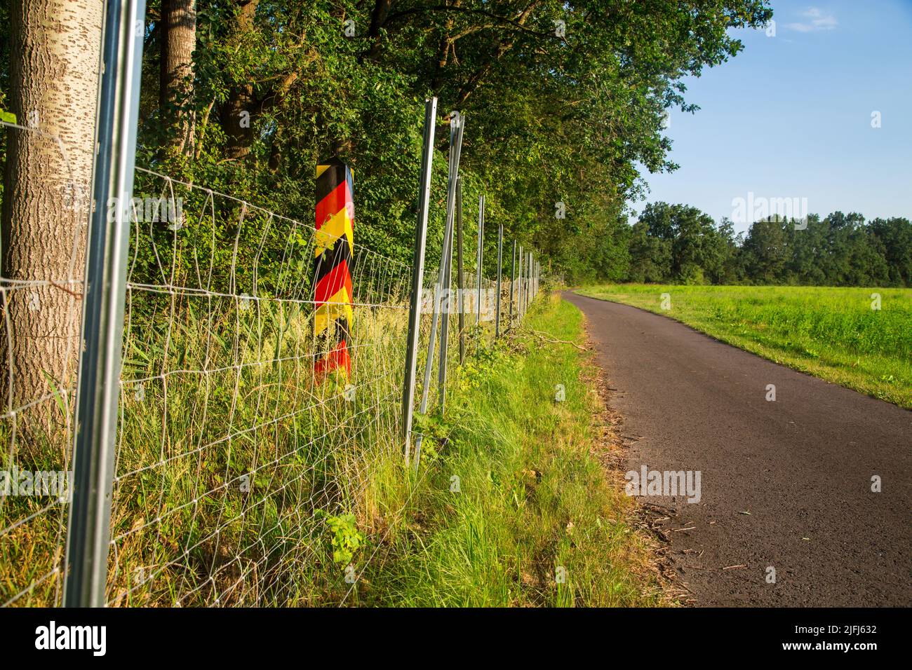Recinzione contro la peste suina africana, Oder-Neisse Cycle Route, Lausitz, Brandeburgo, Germania Foto Stock