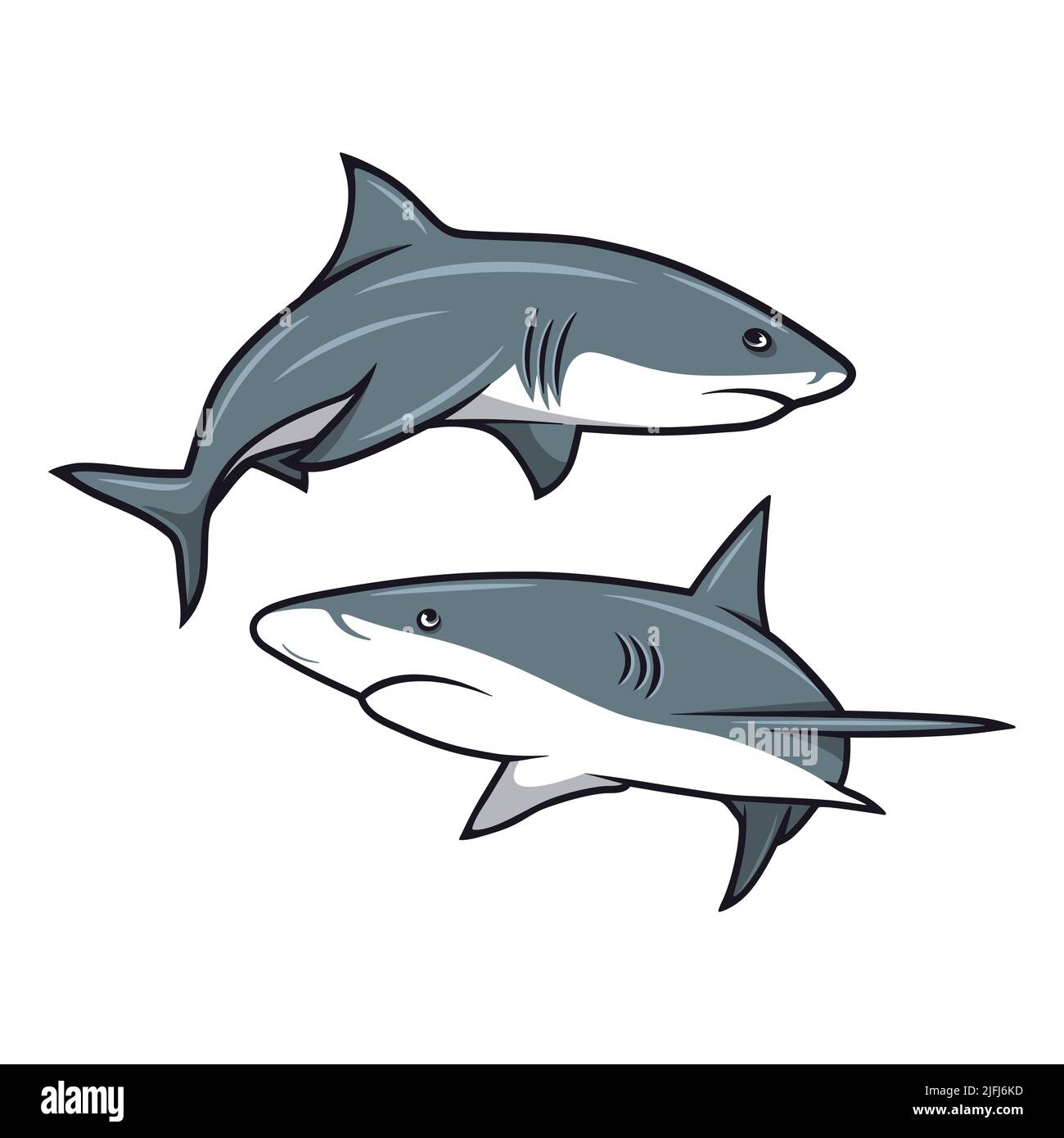 Set di squali vettoriali Cartoon isolato. Squali bianche disegnate a mano con contorno. Ocean Predator. Animali marini, oceanici, marini. Design dei personaggi Shark Illustrazione Vettoriale